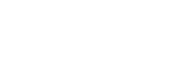 The Ritz Carlton Destination Club