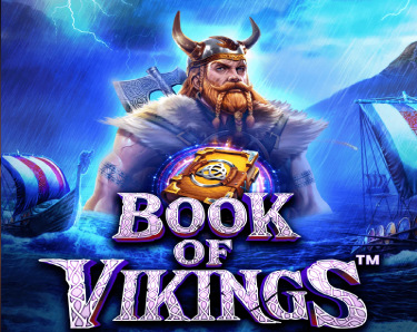 #1 Book of Vikings