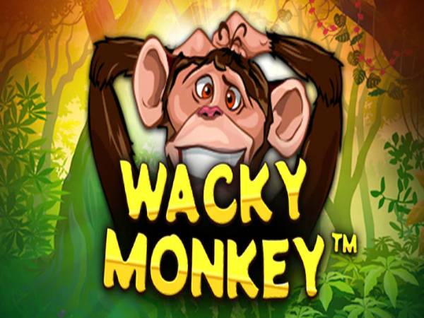 #6 Wacky Monkey